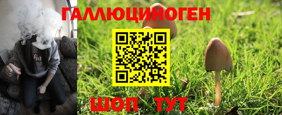 Можайск  Галлюциногенные грибы Magic Shrooms  Вход с VPN  Псилоцибиновые грибы MAGIC MUSHROOMS 